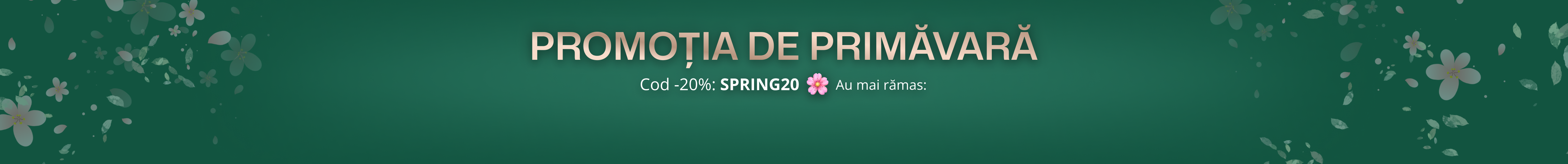 Custom Banner